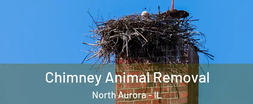  Chimney Animal Removal North Aurora - IL