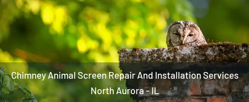 Chimney Animal Screen Repair And Installation Services North Aurora - IL