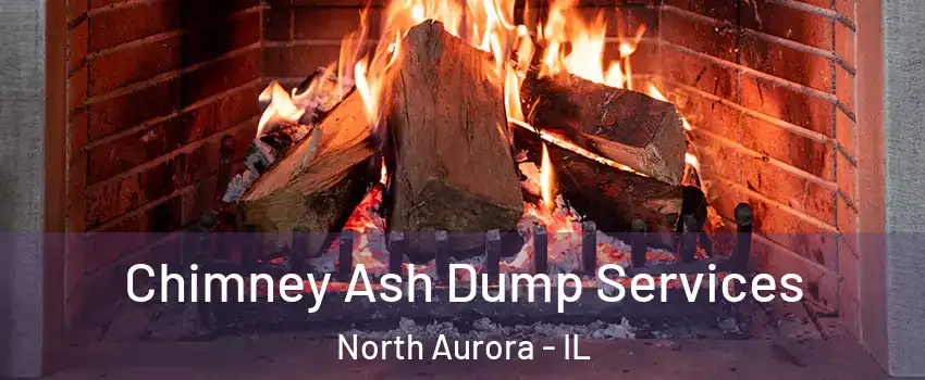  Chimney Ash Dump Services North Aurora - IL