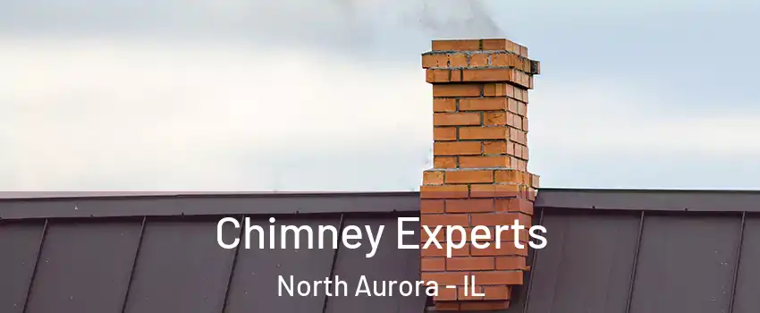  Chimney Experts North Aurora - IL