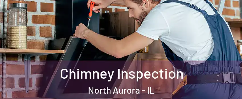  Chimney Inspection North Aurora - IL