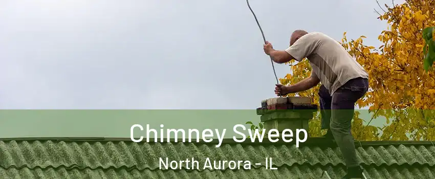  Chimney Sweep North Aurora - IL