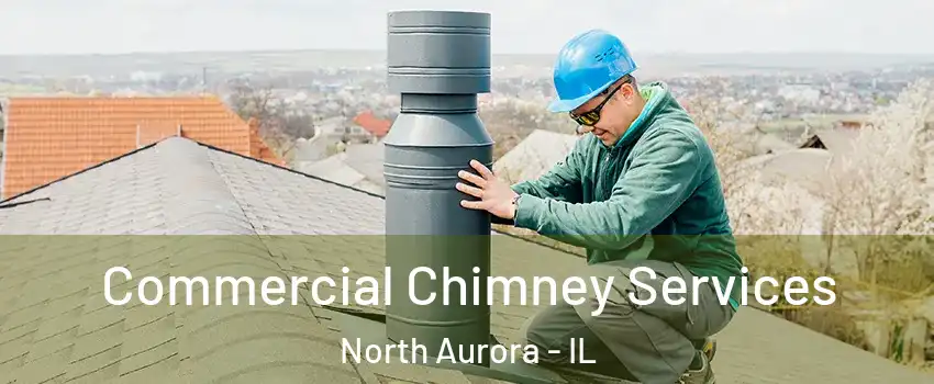  Commercial Chimney Services North Aurora - IL