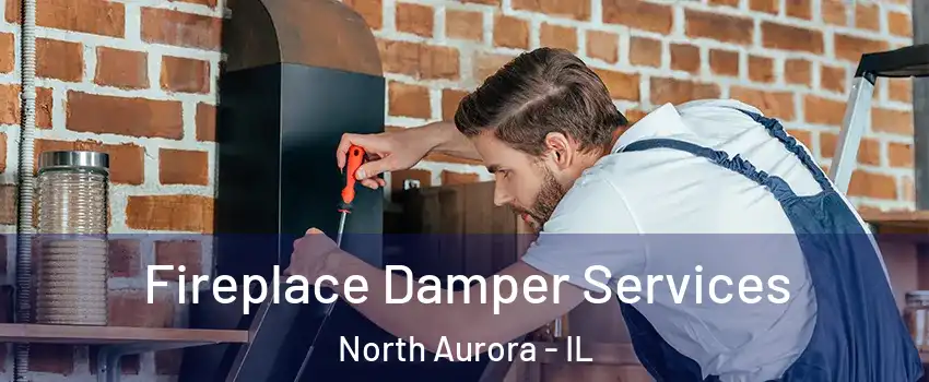  Fireplace Damper Services North Aurora - IL