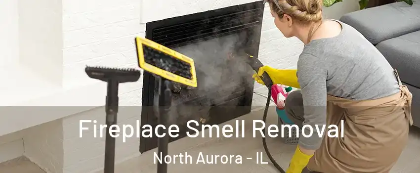  Fireplace Smell Removal North Aurora - IL