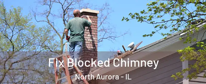  Fix Blocked Chimney North Aurora - IL