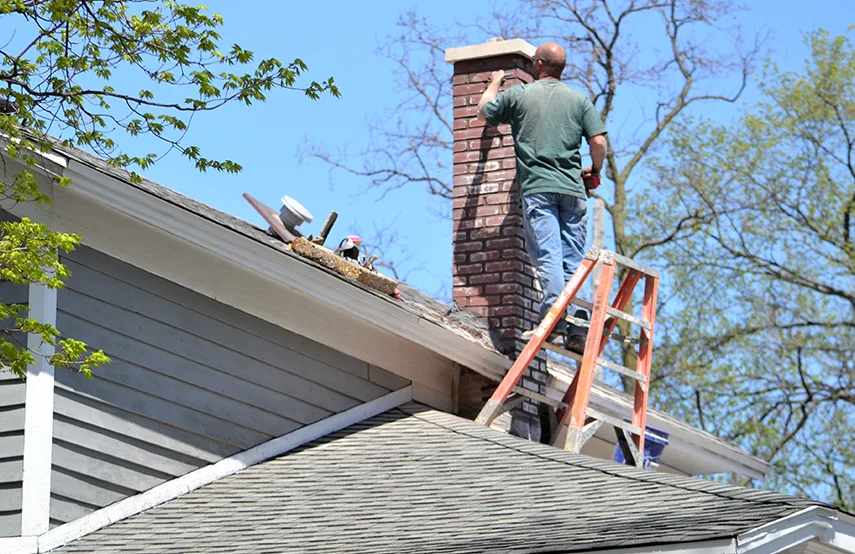 Chimney & Fireplace Inspections Services in North Aurora, IL