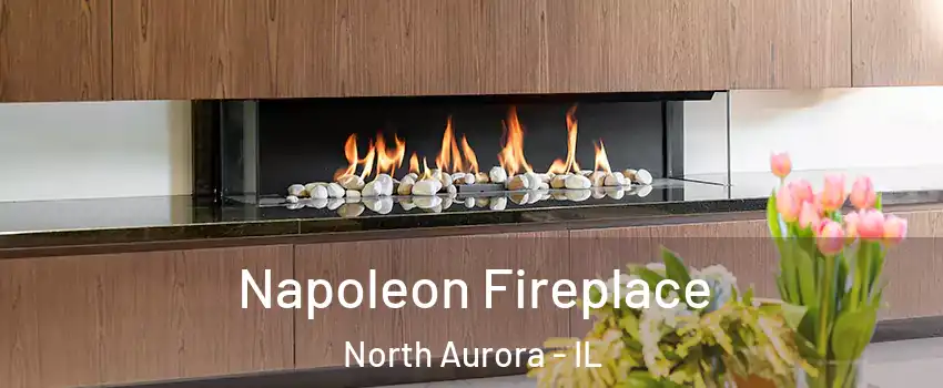  Napoleon Fireplace North Aurora - IL