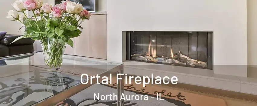  Ortal Fireplace North Aurora - IL