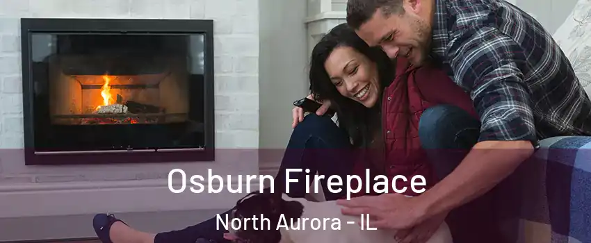  Osburn Fireplace North Aurora - IL
